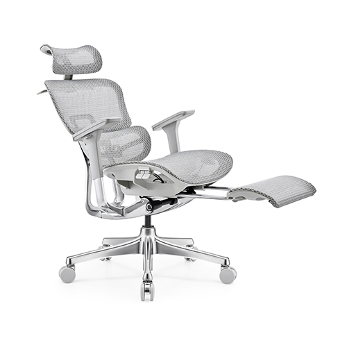 Which ergonomic chair is better, leather or mesh?