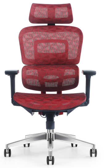 Vione Group Ergonomic Chair